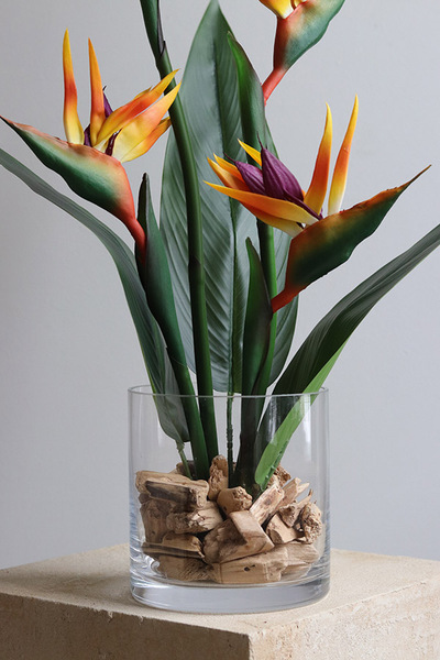 Strelicja Glassier, kompozycja ze strelicją w szkle