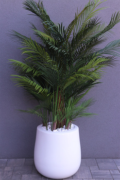 palma Greentia Fiberglass White, sztuczna palma w lśniącej donicy, wys.180cm 