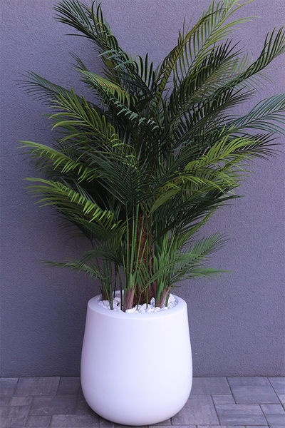 palma Greentia Fiberglass White, sztuczna palma w lśniącej donicy