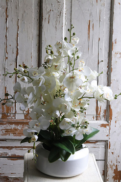 White Gaina, wysokiej jakości sztuczny storczyk, wys.56cm