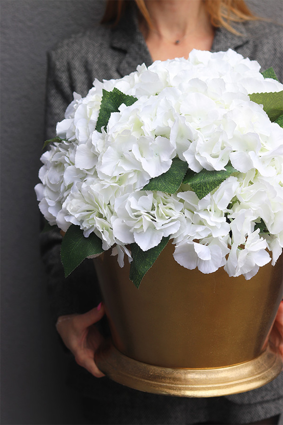 Hydrangea Champagne, kompozycja kwiatowa w coolerze