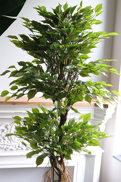 Fikus Concrete, sztuczne drzewko w betonowej donicy, wys.173cm 