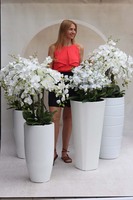 Madrid Rotto, duży storczyk podłogowy w białej donicy, wys.154cm  