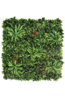 atrakcyjny panel ścienny, Green Premium B, wym.100x100cm