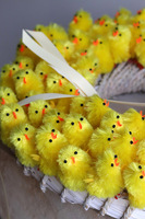 Chiccita 2, wielkanocny dekoracyjny z kurczaczkami