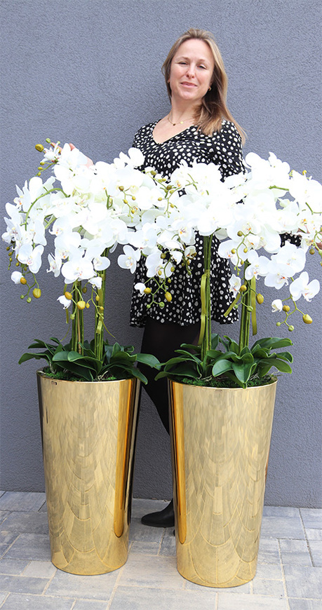 Golderia Side, elegancki storczyk podłogowy w złotej donicy, wys.130cm  