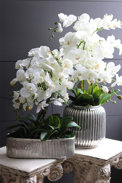 Hilton Silver, wysokiej jakości sztuczny storczyk