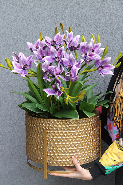 Goldenario Fioletti, biały storczyk w złotej donicy, wys.68cm