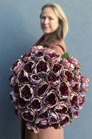 bukiet 43 fioletowych róż, Rolania Purple