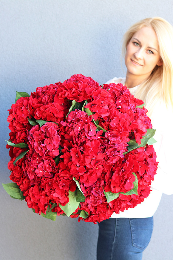 hortensje w czarnym wkładzie, Red Hydrangea, wym.58x50cm 