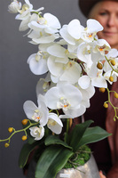 Modern Silver, sztuczny storczyk w metalowej donicy