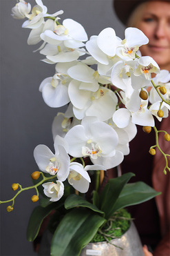 Modern Silver, sztuczny storczyk w metalowej donicy, wys.71cm