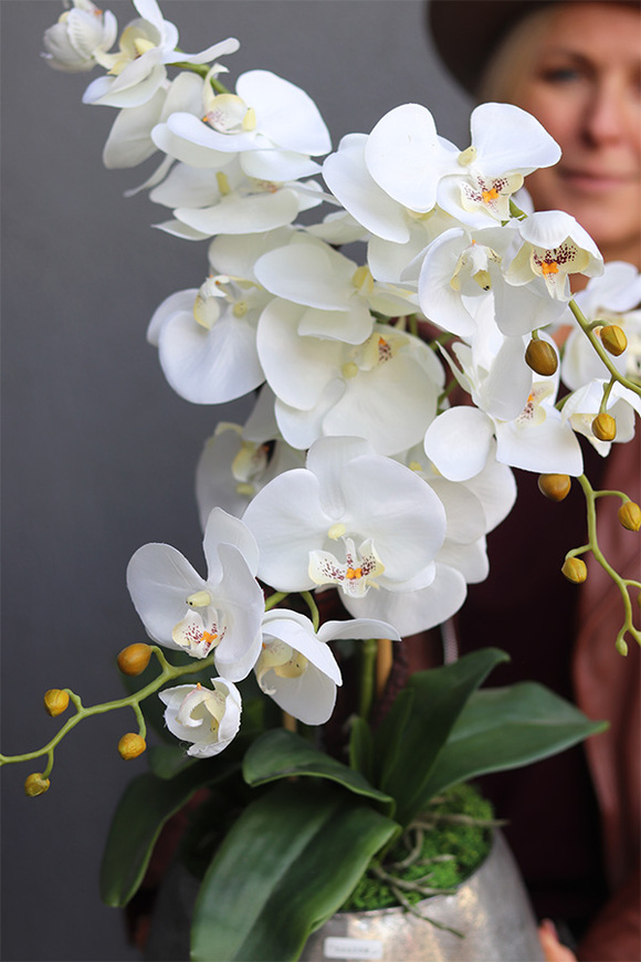 Modern Silver, sztuczny storczyk w metalowej donicy