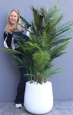 palma Greentia Fiberglass White, sztuczna palma w lśniącej donicy, wys.180cm 