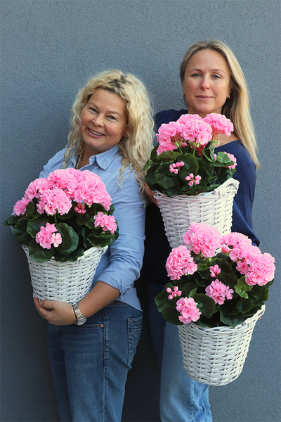 Pink Basket, sztuczne pelargonie w koszu