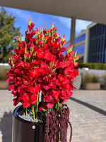 Fiberglass Black Mieczyki, ekskluzywna kompozycja w czarnej donicy