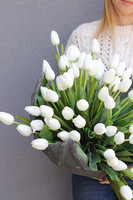 Volcan Tulippo White, kompozycja nagrobna 