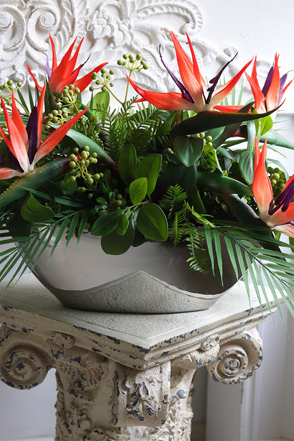 Strelicja Laos Silver, kompozycja w srebrnej donicy