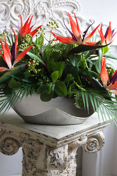 Strelicja Laos Silver, kompozycja w srebrnej donicy