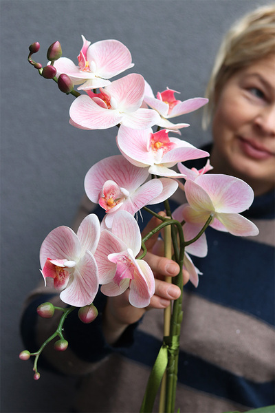  Kefani Otellia, różowy storczyk w białej donicy