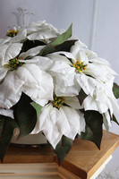 Simple, wysokiej jakości Biała Gwiazda Betlejemska