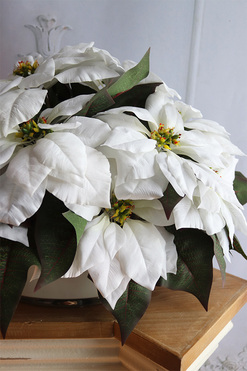 Simple, wysokiej jakości Biała Gwiazda Betlejemska, wym.37x52cm