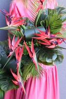 Strelicja Moderni Laos, egzotyczna kompozycja w czarnej donicy