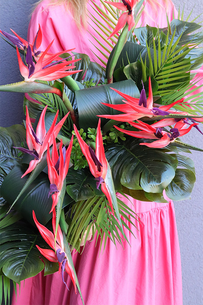 Strelicja Moderni Laos, egzotyczna kompozycja w czarnej donicy