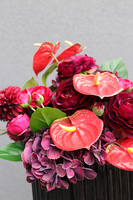 Czerwień Jesienna, kompozycja nagrobna w misie, wym.40x46cm