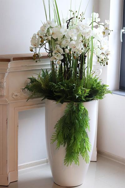 Fiberglass Grande Leucadio efektowny storczyk w białej donicy z fiberglass