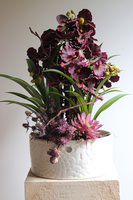 Fiolette Design, nowoczesny sztuczny storczyk z sukulentami, wym.54cm