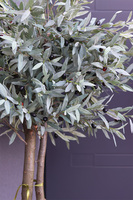 Drzewko Oliwne Hilltonka 2, sztuczna roślina w srebrnej donicy