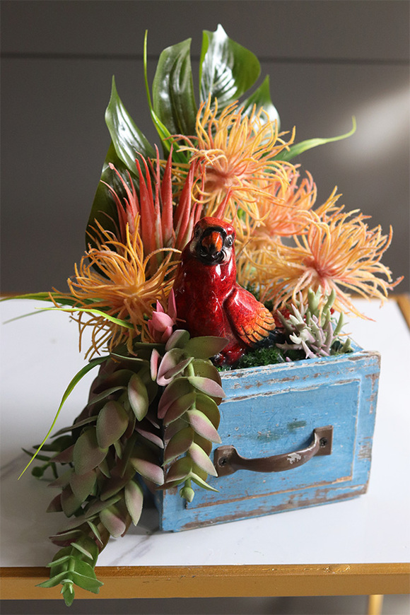 Papuga, egzotyczna dekoracja w szufladzie