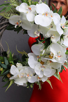 Orchideano, wianek na drzwi ze storczykami