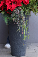 Gwiazda Betlejemska Grandena, wysokiej jakości sztuczna roślina