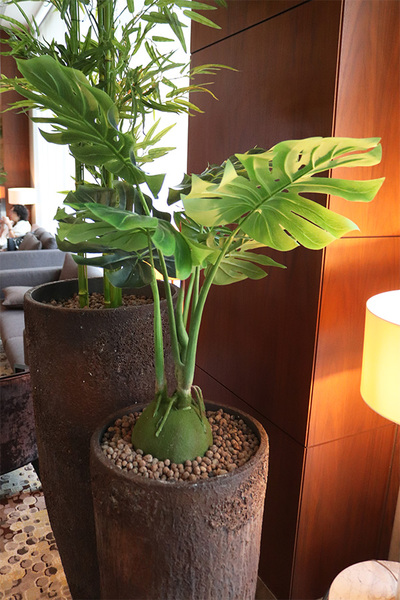 drzewko sztuczne w wysokiej donicy, Monstera Etna