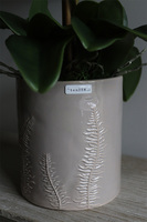 biały storczyk w donicy z motywem paproci, Paprotia, wys.62cm 