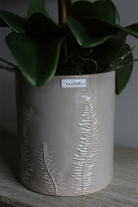 biały storczyk w donicy z motywem paproci, Paprotia, wys.62cm 