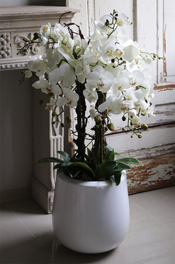 Fiberglass White Grande Ferita, sztuczny storczyk w białej donicy, wys.105cm 