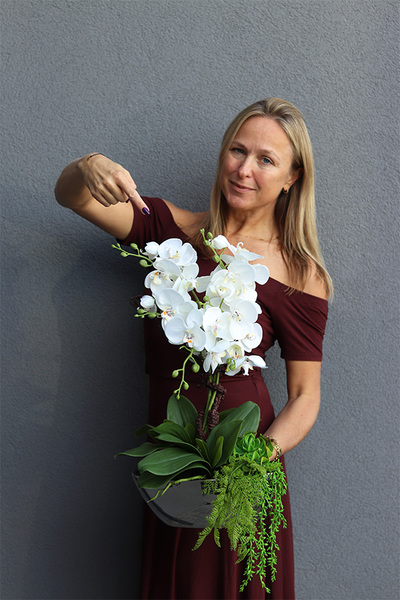 Laos Silver Leonito, sztuczny storczyk z sukulentami