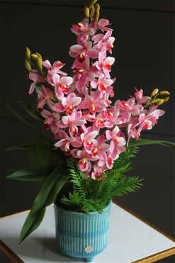 OD RĘKI Pelirana, gumowy storczyk w turkusowej donicy, wys.64cm  