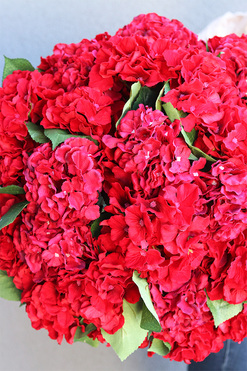 hortensje w czarnym wkładzie, Red Hydrangea, wym.58x50cm 