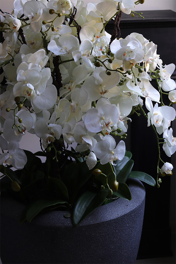 Grey House, sztuczny storczyk w ceramicznej donicy