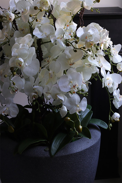 Grey House, sztuczny storczyk w ceramicznej donicy