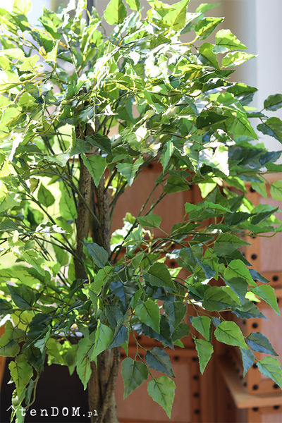 Brzoza, sztuczna roślina w doniczce