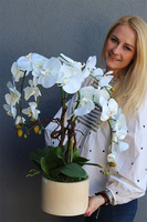 Forresti Wood, sztuczny storczyk w drewnianej donicy, wys.50cm 