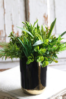 Best Green Glamour, kompozycja sukulenty w donicy