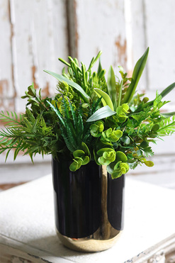 Best Green Glamour, kompozycja sukulenty w donicy, wys.29cm 