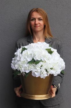 Hydrangea Champagne, kompozycja kwiatowa w coolerze, wym. 42x40cm