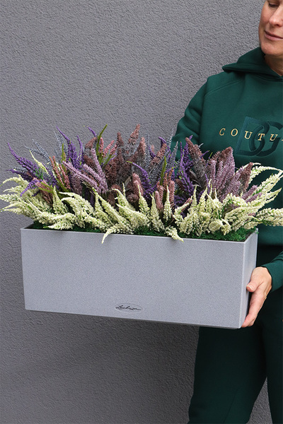 Lechuza Wrzosy 4, kompozycja kwiatowa w wysokiej jakości donicy - skrzynce